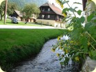 Das Bächlein