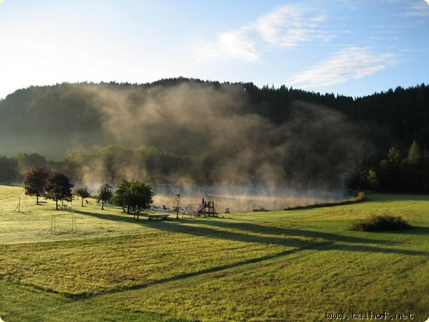 Morgenidylle am Talhof