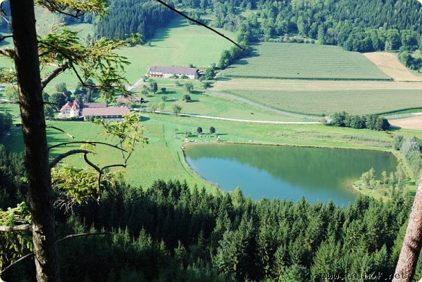 Aussicht auf den Talhof