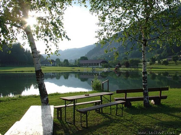Lauschiges Pl�tzchen am Birkenhain