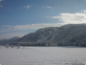 Winterromantik am Talhof